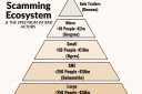 The Scamming Ecosystem and the Spectrum of Bad Actors
